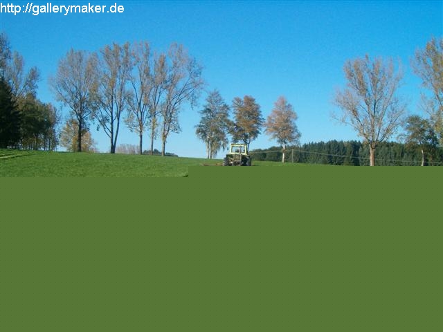 HPIM1133.jpg HPIM1133.jpg